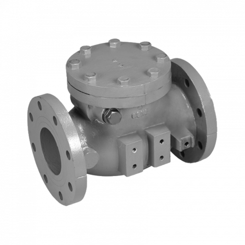 Water deals check valve